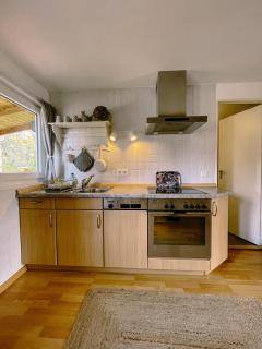 Ferienhaus Wittensee - 2