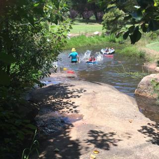 Windswept Country Retreat - 4