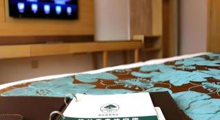 GreenTree Inn Urumqi Airport Tianyi International City - 4