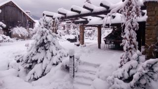 Privat Greenland - 8