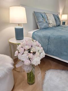 Albina apartman - 6