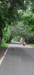 La Goodwill Garden Luxury-Pondicherry-Auroville - 7