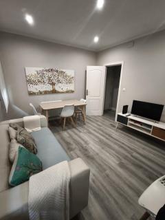 Bilbao Cozy Apartment with free Wifi - 8