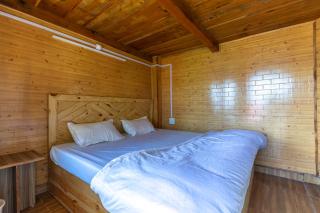 Seo bagh cottages narkanda - 5