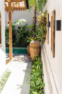 Tropical Kasbah Ubud Surroundings - 9
