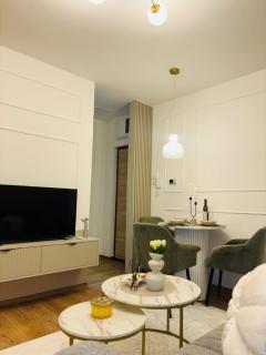 Apartman Tea Banja Koviljaca - 9