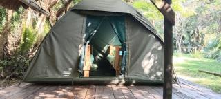 Yellowwood Forest Eco Retreat - 9