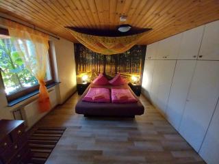 Eldorstal 1 - Ferienwohnung in Bad Harzburg mit Hund - direkt am Nationalpark - 1000 qm Garten - 3