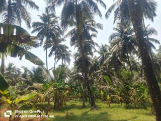 Ajjimane River Front Homestay Honnavara - 1