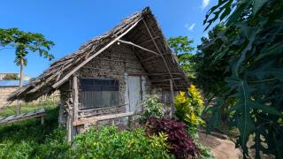 Zanzibar Holiday House - 8