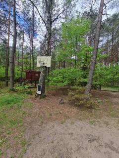 LEŚNE Zacisze - 1