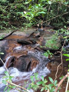 Cococreek Kohkood - 2