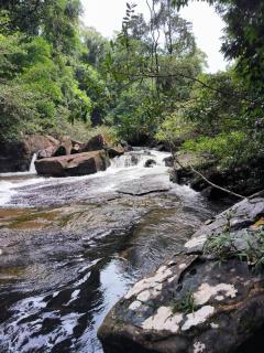 Cococreek Kohkood - 4