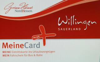 Pension Haus Waldfrieden, MeineCardPlus inklusive - Willingen - 3