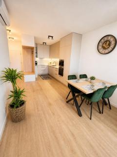 Luxury apartment - 9