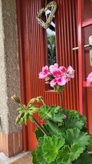 Beskydy apartman Four Seasons - 6
