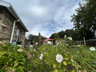 Bella - Rosa - 5
