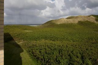 Premium Fewo Lachmöwe - 7