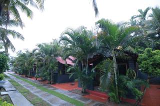 Orange Vista Resort Coorg - 8