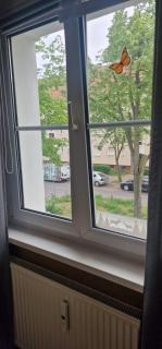 Calm apartment - 6