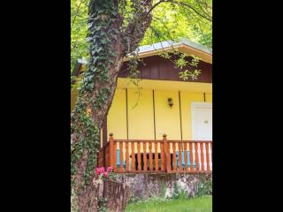 Bungalow in the heart of nature for 2 or 3 persons - 8