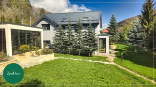 Sinaia ZenDen - Private Villa & SPA - 4