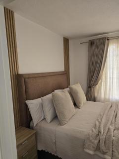 Twelve Palms - 1