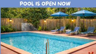 One-Bedroom Suite Pool with Bath Kitchen in West Palm Beach - 9