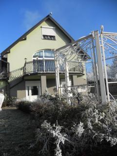 Mizerówka Guest House - Kudowa-Zdrój - 9