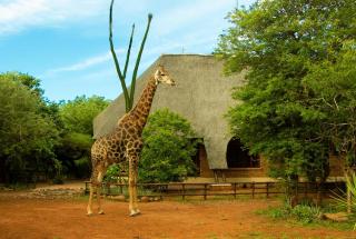 Kruger Vista, Private Pool, Outdoor Shower, National Park View, Outdoor Shower - 2