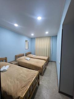 Lile Guest House & Hostel - 0