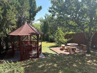 Holiday house near Budapest - 4