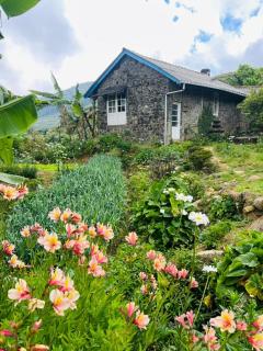 Summer Cottage - The Dew - 0