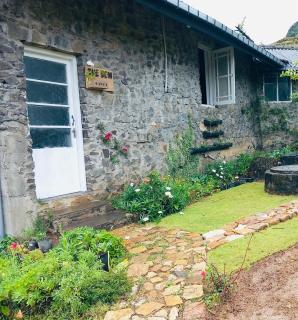 Summer Cottage - The Dew - 4