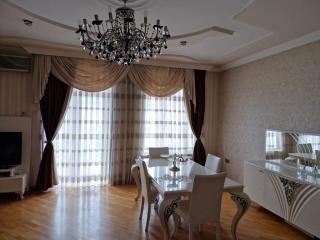 Nizami Street APT - 2