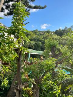 Le jardin d'Agatine Bouguainvillier - 1