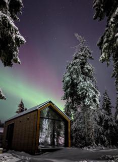Arctic Nest Forest Cabin - 6