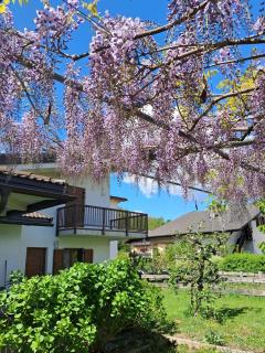 Residenza Le Ortensie - 3