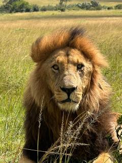 Mara Sidain lodge - 8