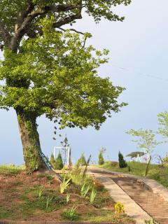 Windy Hills - 9