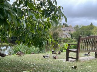 Orchard Cottage - 6