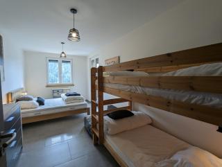 Le Grand Duc, appartement vue lac proche centre ville - 6