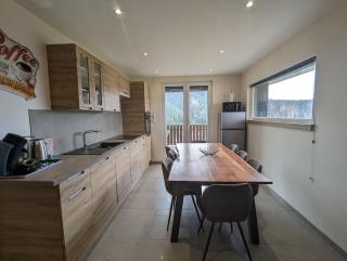 Le Grand Duc, appartement vue lac proche centre ville - 1
