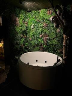 Évasion Jungle - Sauna, Balnéo & Nuit Étoilée - 6