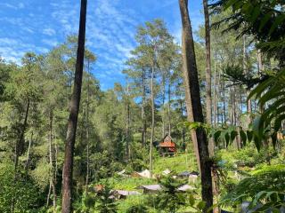 corak alam glamping - 5