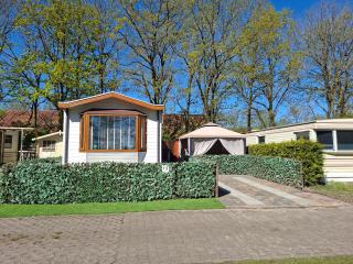 chalet 13 op de tien heugten in drenthe - 7