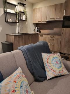 WanToSea Nieuwe flat aan zee, met linnen, airco & garage - 4