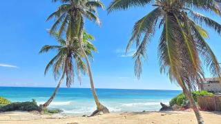 Art House - Filtered Water & 2 Free Beach Clubs Tulum Hotel Zone - 1