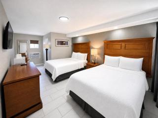 Paradise Inn - 5