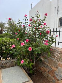 Island Away Chersonisos - 6